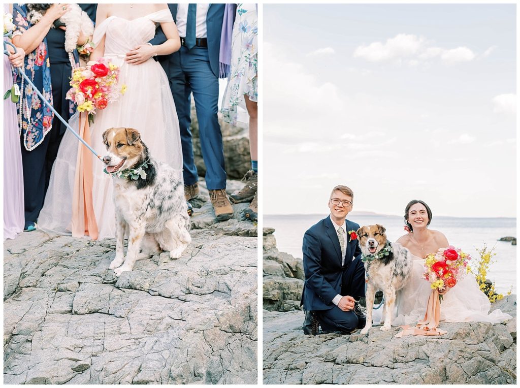 bride and groom posing with dog at elopement in Maine