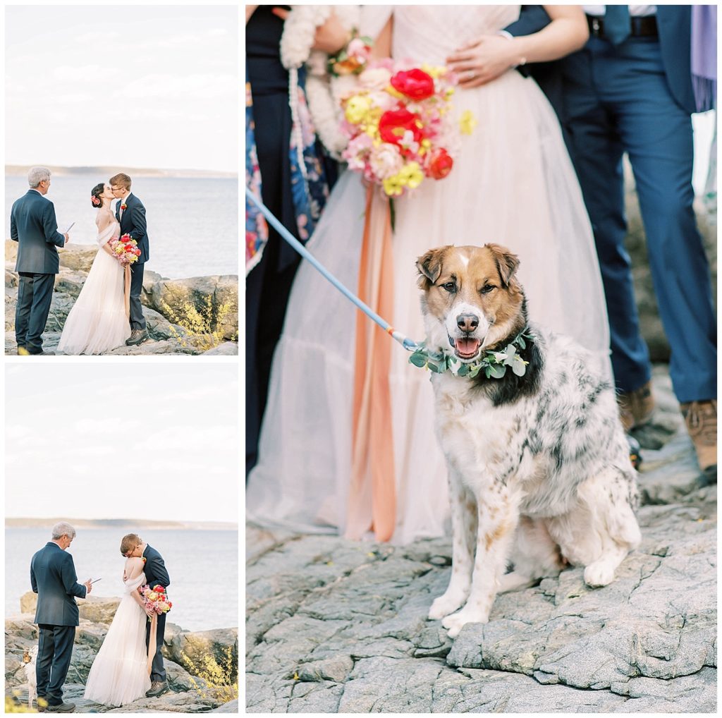 wedding couple at Maine elopement with dog