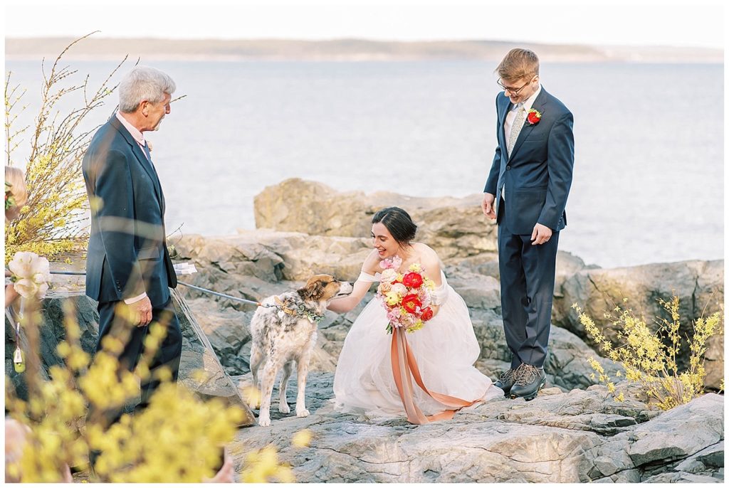 bride and groom posing with dog at Maine elopement