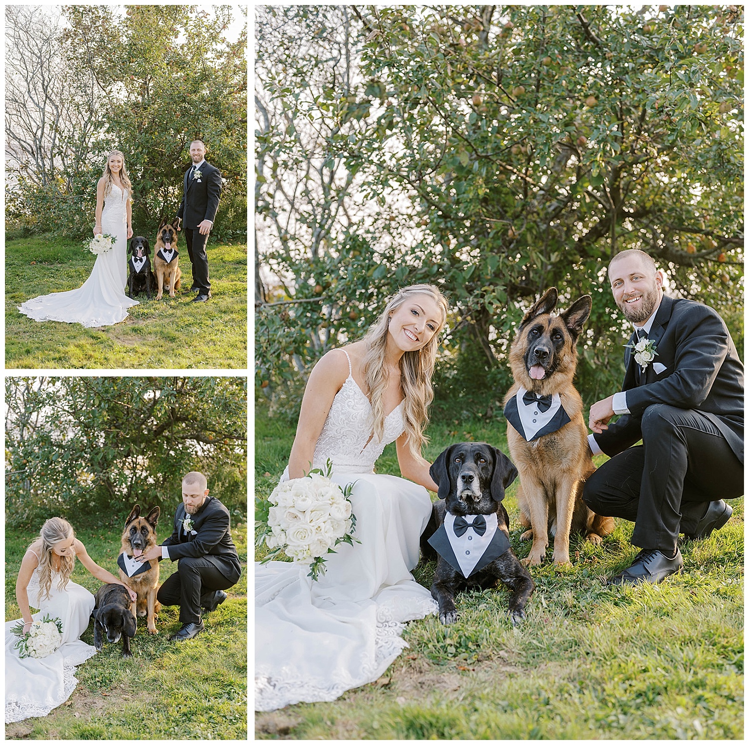 bride and groom posing with their dogs