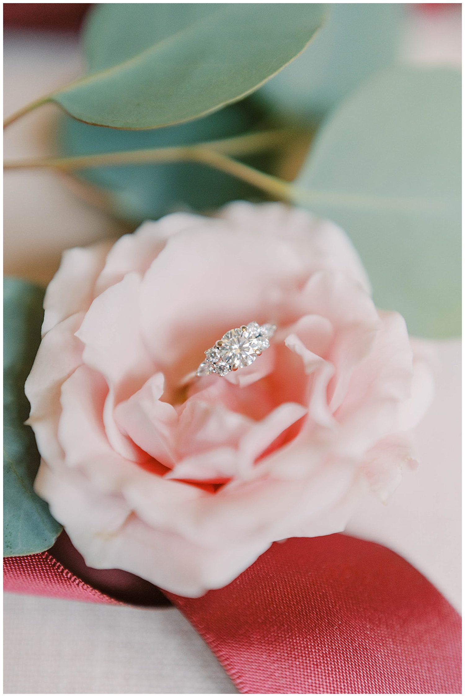 close up of wedding rings on a pink flower