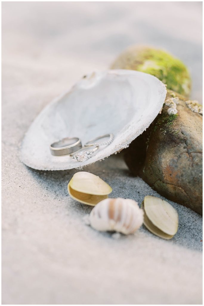 wedding rings on shells at Cape Cod